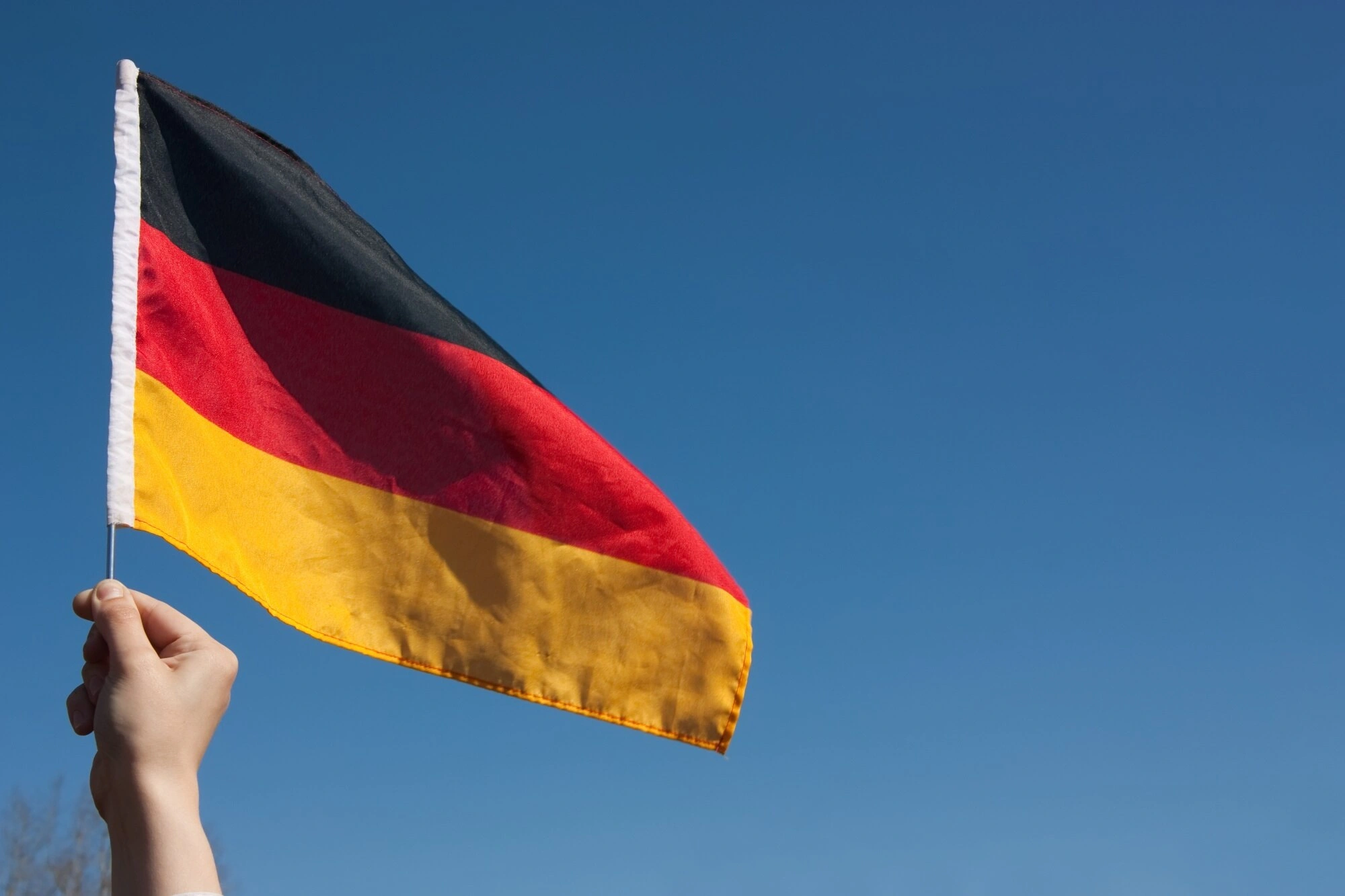 Germany University Intakes
